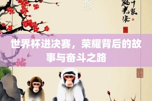 世界杯进决赛，荣耀背后的故事与奋斗之路