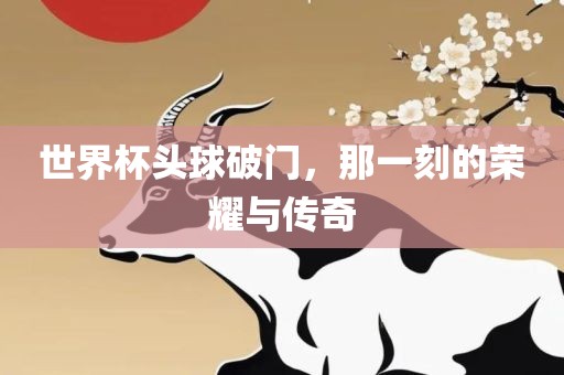 世界杯头球破门，那一刻的荣耀与传奇