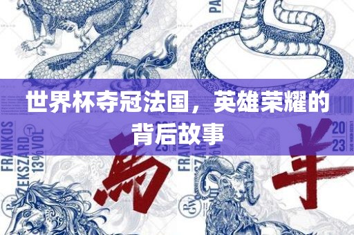 世界杯夺冠法国，英雄荣耀的背后故事