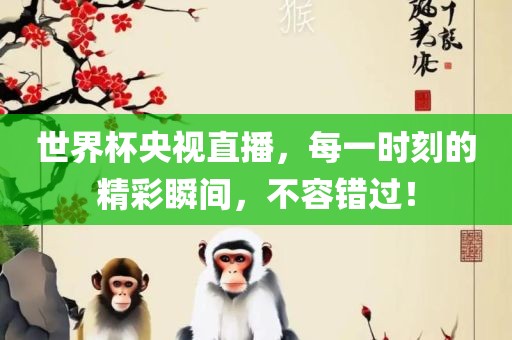 世界杯央视直播，每一时刻的精彩瞬间，不容错过！