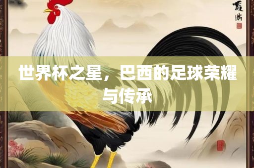 世界杯之星，巴西的足球荣耀与传承