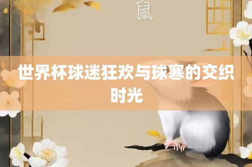 世界杯球迷狂欢与球寒的交织时光