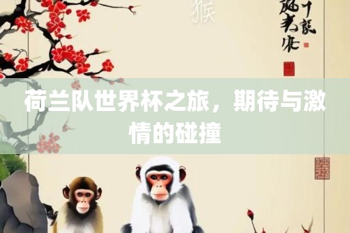 荷兰队世界杯之旅，期待与激情的碰撞