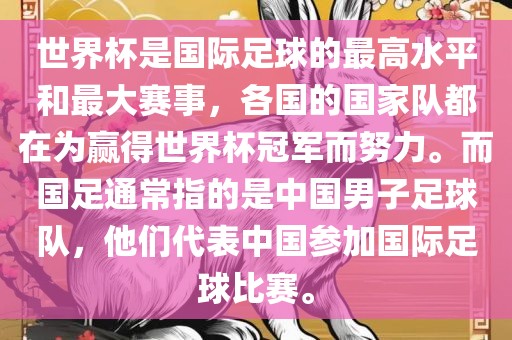 世界杯是国际足球的最高水平和最大赛事，各国的国家队都在为赢得世界杯冠军而努力。而国足通常指的是中国男子足球队，他们代表中国参加国际足球比赛。