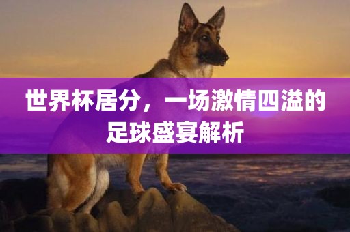世界杯居分，一场激情四溢的足球盛宴解析