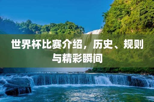 世界杯比赛介绍，历史、规则与精彩瞬间