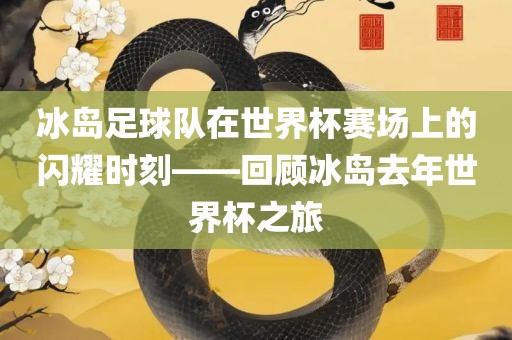 冰岛足球队在世界杯赛场上的闪耀时刻——回顾冰岛去年世界杯之旅
