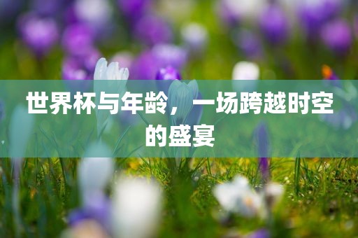 世界杯与年龄，一场跨越时空的盛宴