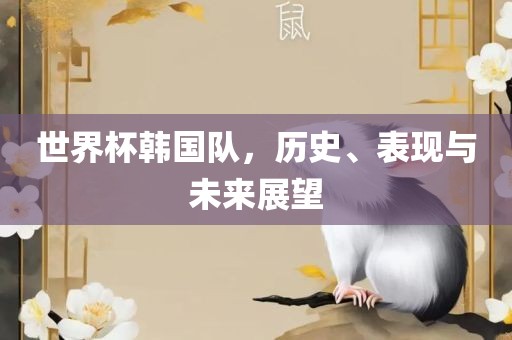 世界杯韩国队，历史、表现与未来展望