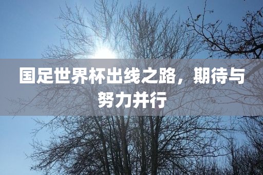 国足世界杯出线之路，期待与努力并行