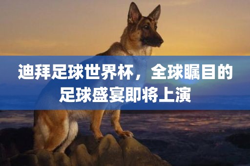 迪拜足球世界杯，全球瞩目的足球盛宴即将上演