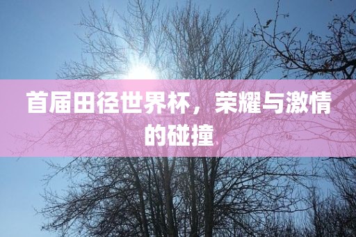 首届田径世界杯，荣耀与激情的碰撞