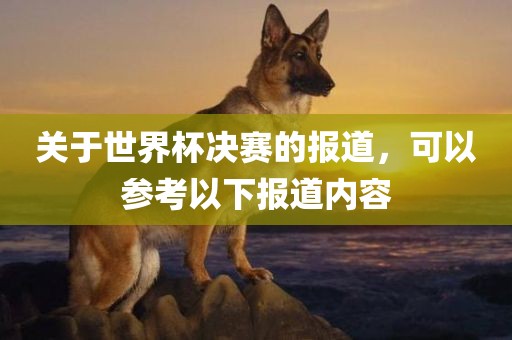 关于世界杯决赛的报道，可以参考以下报道内容