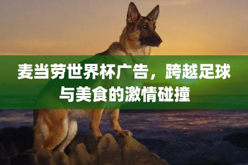 麦当劳世界杯广告，跨越足球与美食的激情碰撞