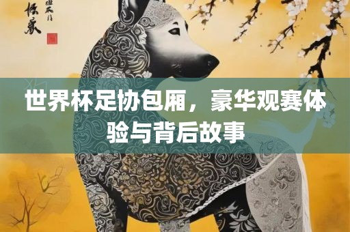 世界杯足协包厢，豪华观赛体验与背后故事