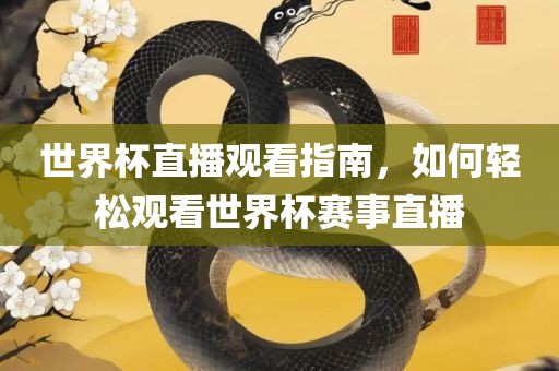 世界杯直播观看指南，如何轻松观看世界杯赛事直播
