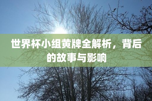 世界杯小组黄牌全解析，背后的故事与影响