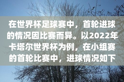 在世界杯足球赛中，首轮进球的情况因比赛而异。以2022年卡塔尔世界杯为例，在小组赛的首轮比赛中，进球情况如下