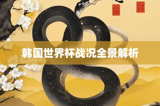 韩国世界杯战况全景解析