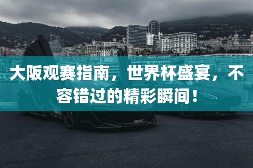 大阪观赛指南，世界杯盛宴，不容错过的精彩瞬间！