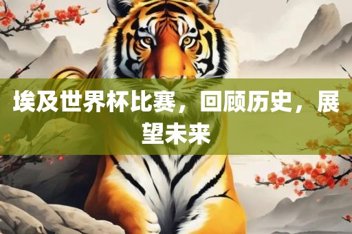 埃及世界杯比赛，回顾历史，展望未来
