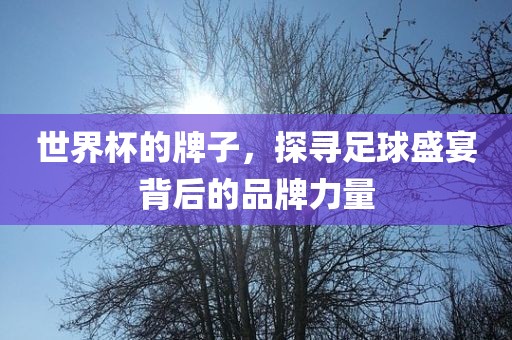 世界杯的牌子，探寻足球盛宴背后的品牌力量