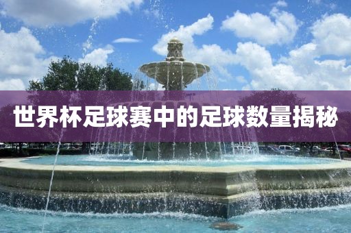 世界杯足球赛中的足球数量揭秘