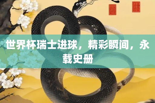 世界杯瑞士进球，精彩瞬间，永载史册