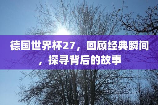 德国世界杯27，回顾经典瞬间，探寻背后的故事