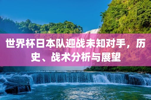 世界杯日本队迎战未知对手，历史、战术分析与展望