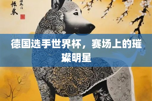 德国选手世界杯，赛场上的璀璨明星