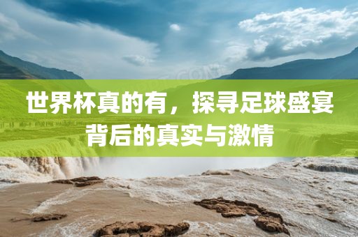 世界杯真的有，探寻足球盛宴背后的真实与激情