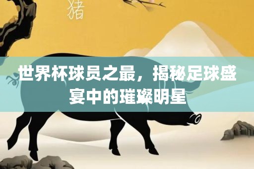 世界杯球员之最，揭秘足球盛宴中的璀璨明星
