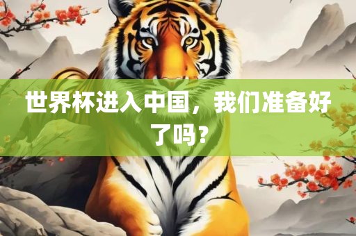 世界杯进入中国，我们准备好了吗？