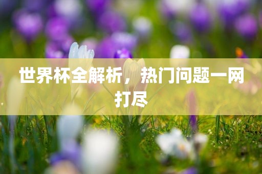 世界杯全解析，热门问题一网打尽