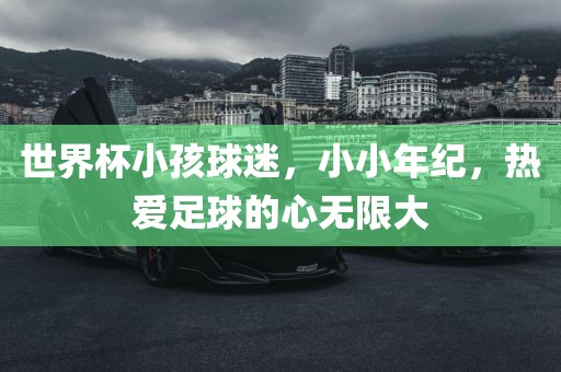 世界杯小孩球迷，小小年纪，热爱足球的心无限大
