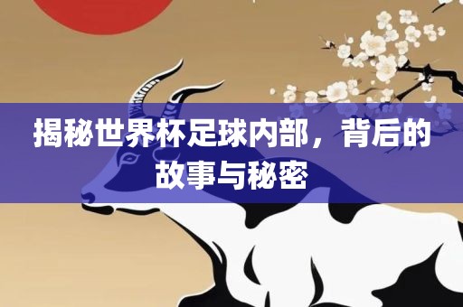 揭秘世界杯足球内部，背后的故事与秘密