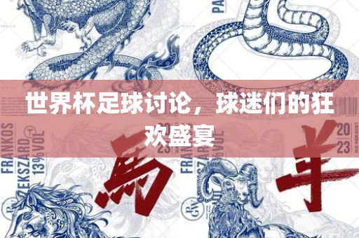 世界杯足球讨论，球迷们的狂欢盛宴