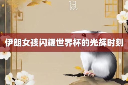 伊朗女孩闪耀世界杯的光辉时刻