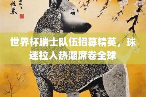 世界杯瑞士队伍招募精英，球迷拉人热潮席卷全球