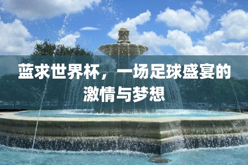 蓝求世界杯，一场足球盛宴的激情与梦想