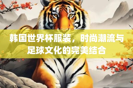 韩国世界杯服装，时尚潮流与足球文化的完美结合