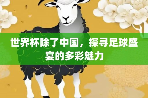 世界杯除了中国，探寻足球盛宴的多彩魅力