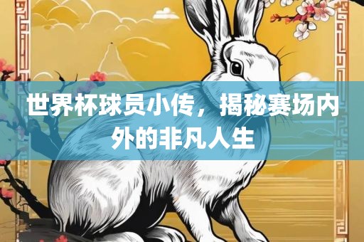世界杯球员小传，揭秘赛场内外的非凡人生