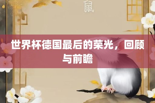 世界杯德国最后的荣光，回顾与前瞻