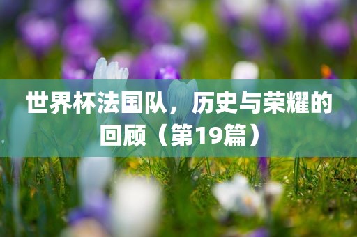 世界杯法国队，历史与荣耀的回顾（第19篇）