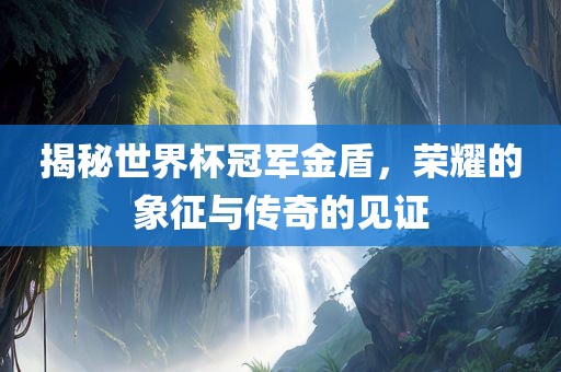 揭秘世界杯冠军金盾，荣耀的象征与传奇的见证