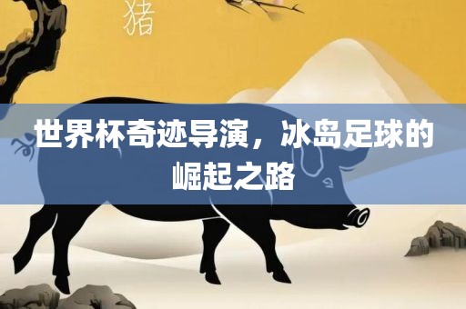 世界杯奇迹导演，冰岛足球的崛起之路