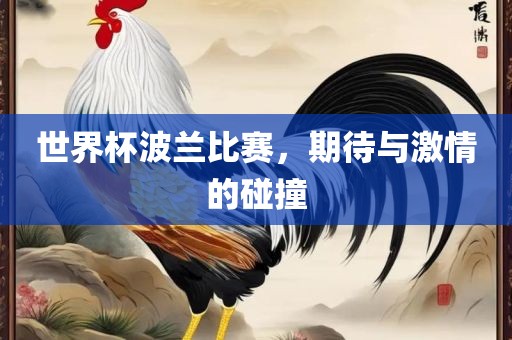 世界杯波兰比赛，期待与激情的碰撞