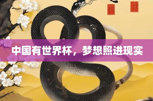 中国有世界杯，梦想照进现实
